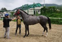 �Ѹ����� (HANMAJIRO) ����