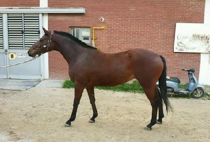 ��ȣ���� ����