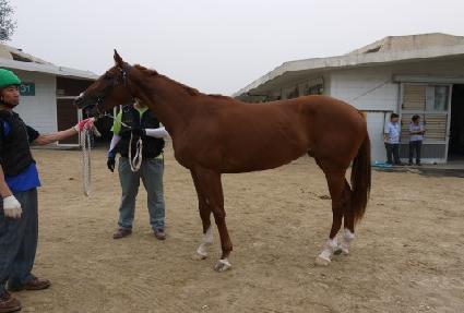 ��������� ����