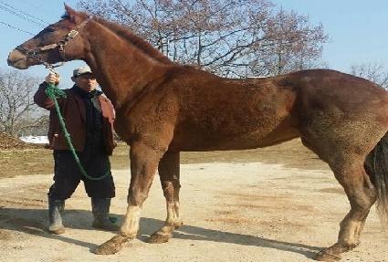 ��⹦�� ����