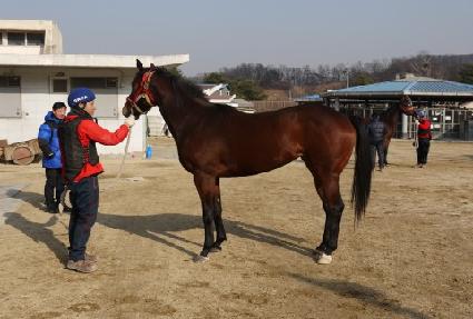 ���Ͼ��� ����