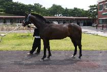 �޺��� (HAETBINNA) ����