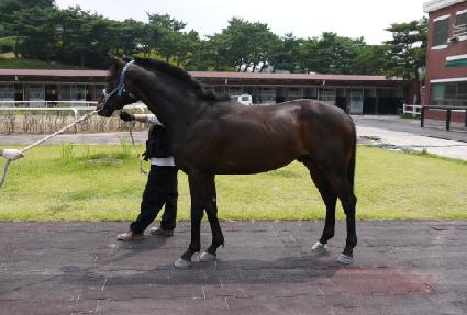 �޺��� ����