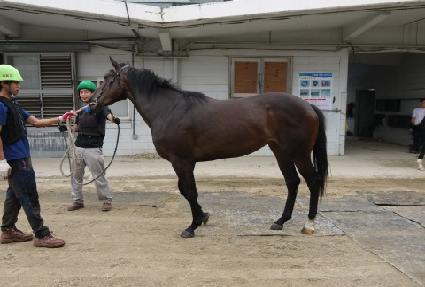 ���۽� ����