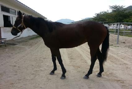 ���������� ����