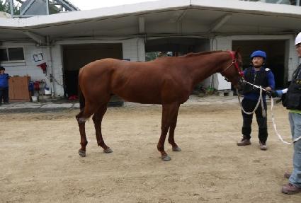 ��縮�� ����