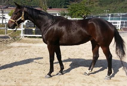 �����Ǳ�� ����