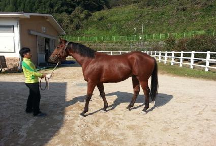 �ͺ������� ����