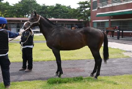 �ʿ���Ÿ ����