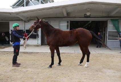 �ʿ����ü ����