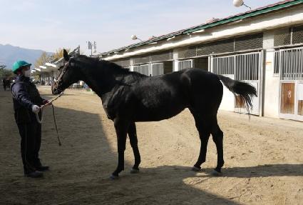 �ʿ���Ʈ ����