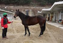 �����Ŀ� (SEMYEONG POWER) ����