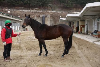 �����Ŀ� ����