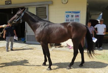 ����̴��� ����