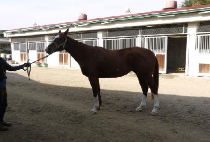 �չٿ� ����