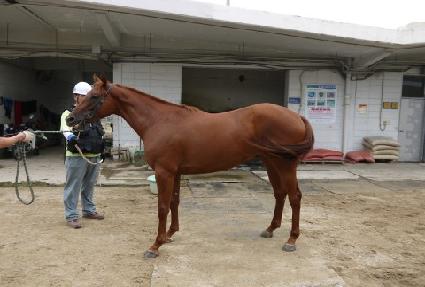 ��ġ����� ����