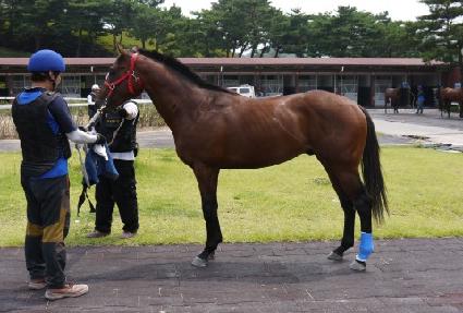 ���Ǵ�� ����