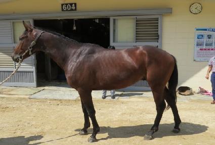 ����� ����