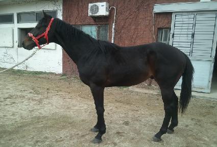 �̶�Ŭ���� ����