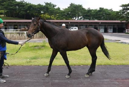 �μ��� ����