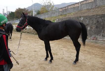 �̱׷�� ����