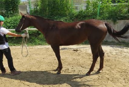 ������� ����