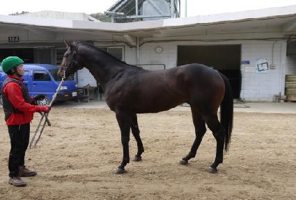 �����ǰ��� ����