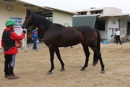 ���ϵ�Űư ����