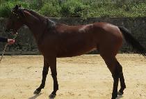 ������ (SUNGEUMI) ����