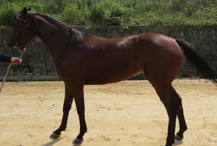 ������ ����