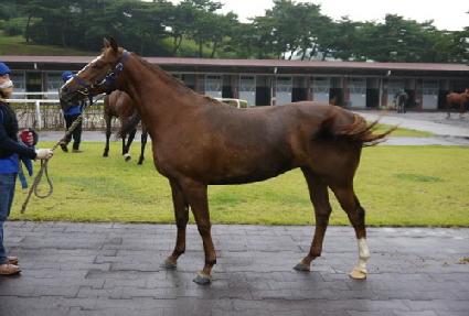 ��õ�� ����