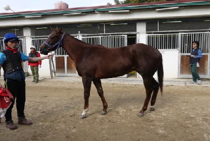 ���� ����