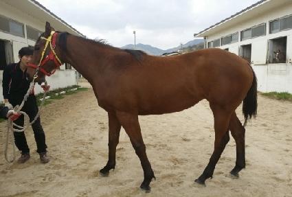 �������� ����