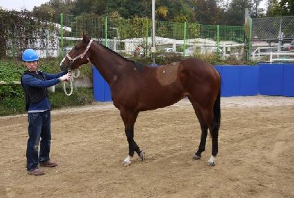 �ݼ��� ����