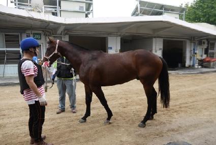 �����ž ����