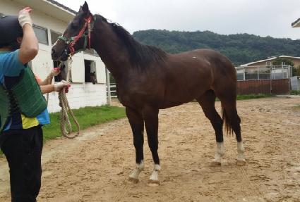 Ȳ�ݼҳ��� ����