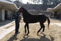 ������Ƽ (NANGMAN CITY) ����