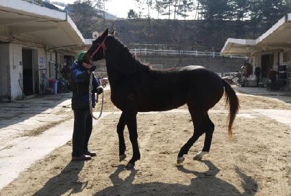 ������Ƽ ����