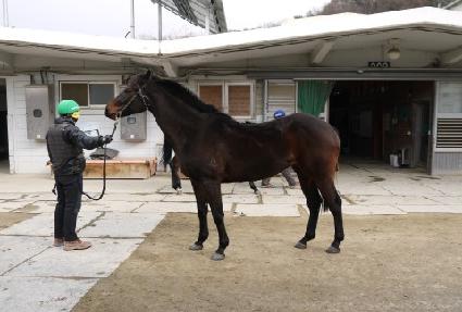 �۾Ͻ�Ÿ�� ����