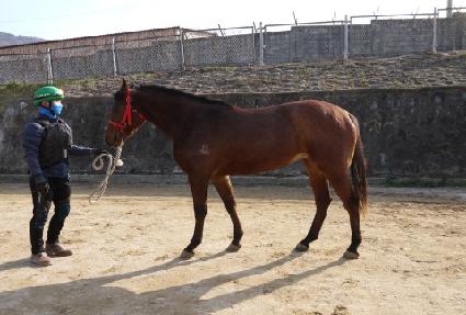 �ڸ������� ����