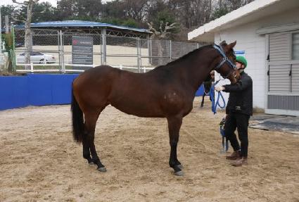 �۾��Ŀ� ����