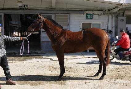 ������ ����