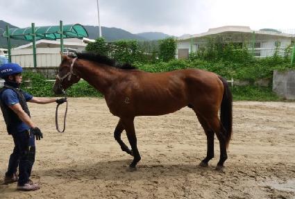 ���Ƿ��̼� ����