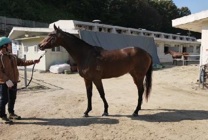 �ݹ̷��̼� ����