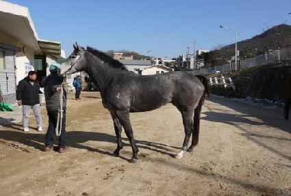 �ɼ��� ����