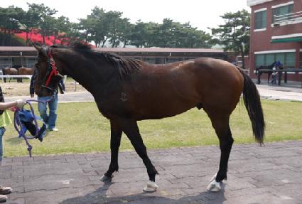 �۾������ ����