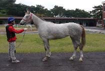 ȭ��Ʈť�ǵ� (WHITE CUPID) ����