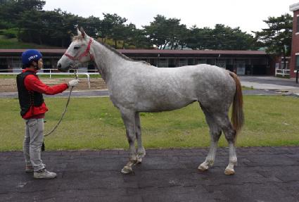 ȭ��Ʈť�ǵ� ����