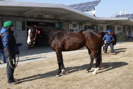 ���̽����� ����