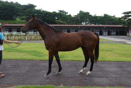 �÷���Ĺ ����